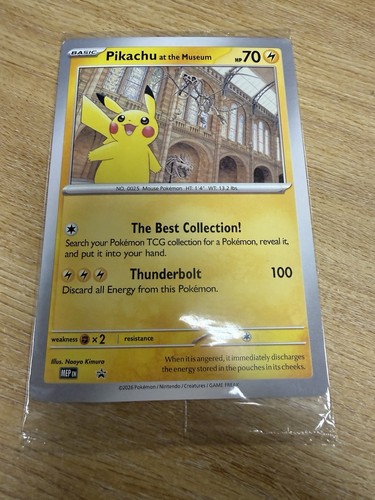 Pokemon tcg pikachu the - pokemon, at